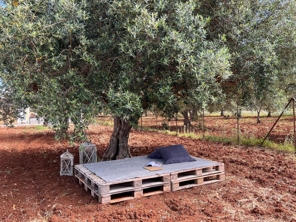קסטלוצו Villa Santareddi מראה חיצוני תמונה